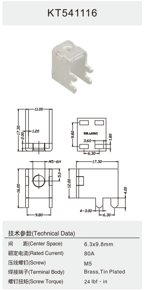 KT541116 80A